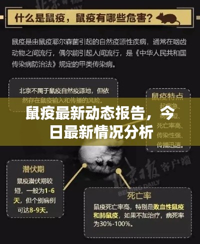 鼠疫最新动态报告，今日最新情况分析