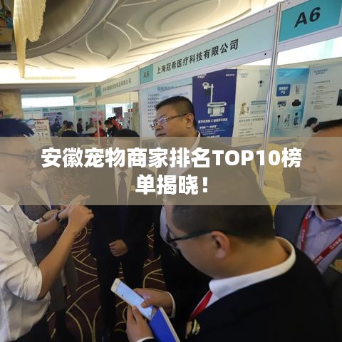 安徽宠物商家排名TOP10榜单揭晓！