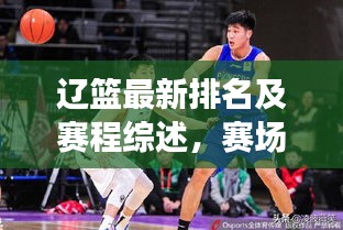 辽篮最新排名及赛程综述，赛场动态一网打尽