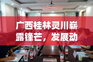 广西桂林灵川崭露锋芒，发展动态与头条新闻聚焦