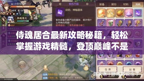 侍魂居合最新攻略秘籍，轻松掌握游戏精髓，登顶巅峰不是梦！