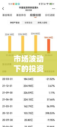 市场波动下的投资挑战与反思，解读基金排名后十名背后的故事 2020回顾