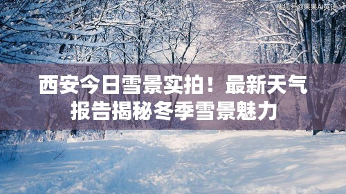 西安今日雪景实拍！最新天气报告揭秘冬季雪景魅力