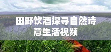 田野饮酒探寻自然诗意生活视频
