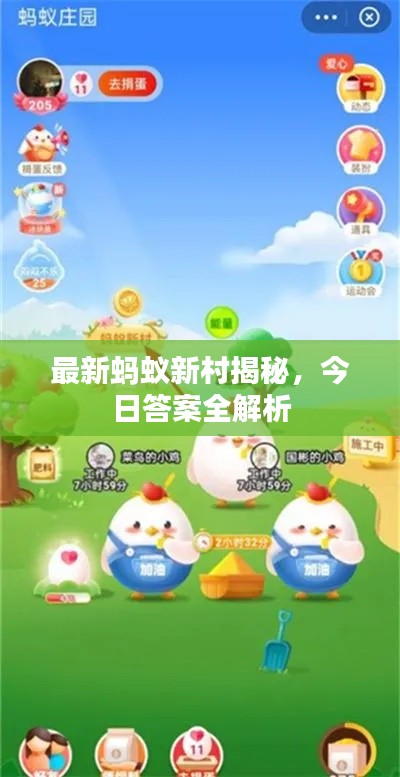 最新蚂蚁新村揭秘，今日答案全解析