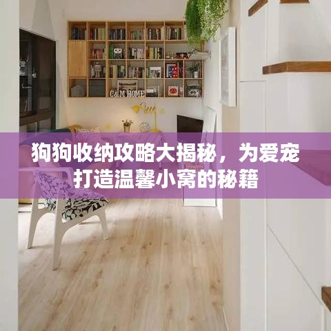 狗狗收纳攻略大揭秘，为爱宠打造温馨小窝的秘籍