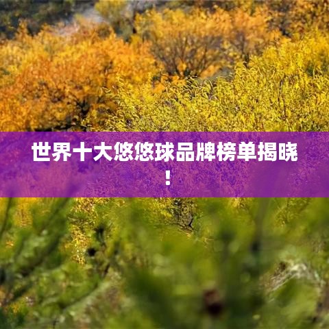 世界十大悠悠球品牌榜单揭晓！