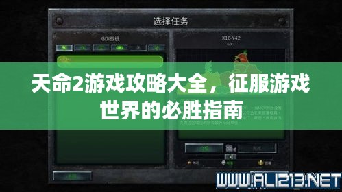 瞋目张胆