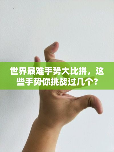 雅人深致