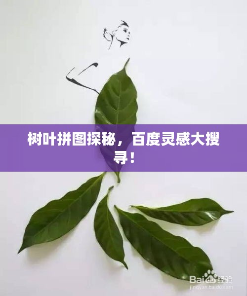 树叶拼图探秘，百度灵感大搜寻！