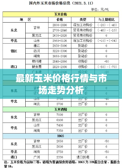 最新玉米价格行情与市场走势分析