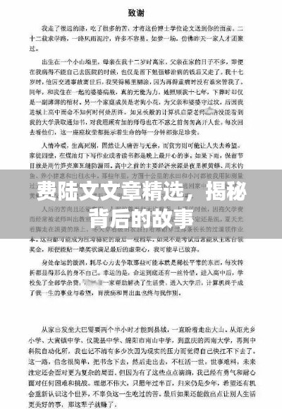 费陆文文章精选，揭秘背后的故事