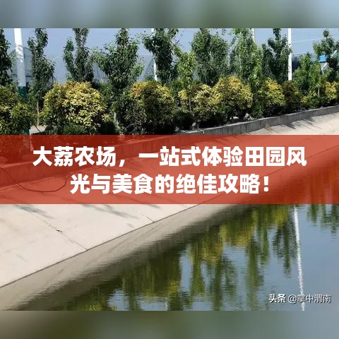 长命富贵