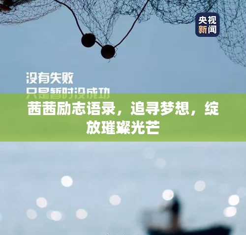 茜茜励志语录，追寻梦想，绽放璀璨光芒
