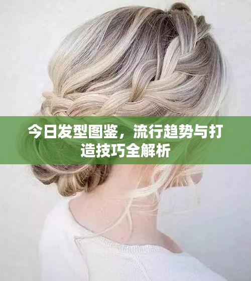 纲挈目张