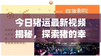今日猪运最新视频揭秘，探索猪的幸运之旅之旅