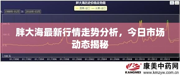 胖大海最新行情走势分析，今日市场动态揭秘