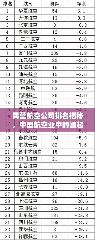 民营航空公司排名揭秘，中国航空业中的崛起与蓬勃发展