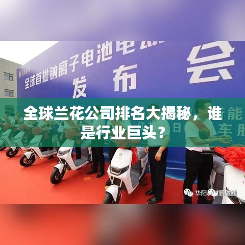 全球兰花公司排名大揭秘，谁是行业巨头？