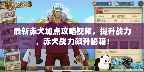最新赤犬加点攻略视频，提升战力，赤犬战力飙升秘籍！