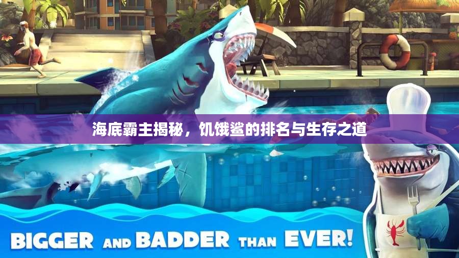 海底霸主揭秘，饥饿鲨的排名与生存之道