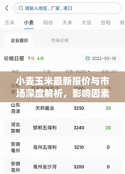 小麦玉米最新报价与市场深度解析，影响因素全解析