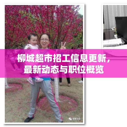 一花独放