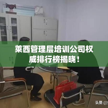 莱西管理层培训公司权威排行榜揭晓！