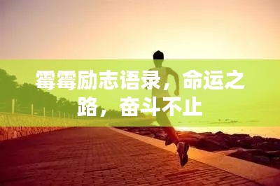 霉霉励志语录，命运之路，奋斗不止