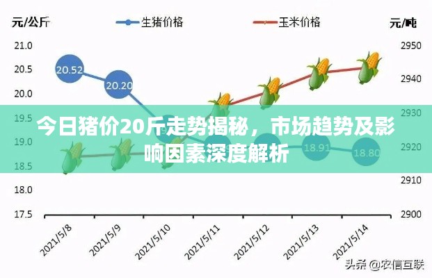 今日猪价20斤走势揭秘，市场趋势及影响因素深度解析