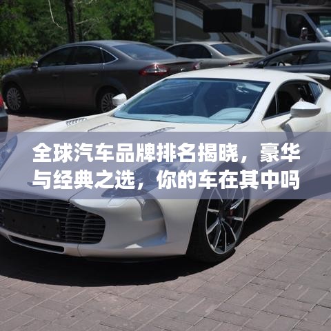 小鸟依人