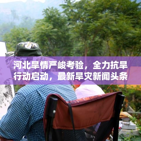 河北旱情严峻考验，全力抗旱行动启动，最新旱灾新闻头条关注