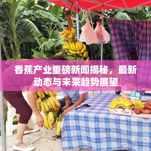 香蕉产业重磅新闻揭秘，最新动态与未来趋势展望