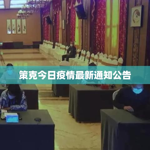 淡妆浓抹