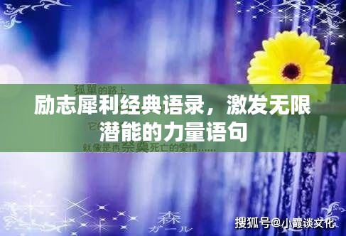 励志犀利经典语录，激发无限潜能的力量语句