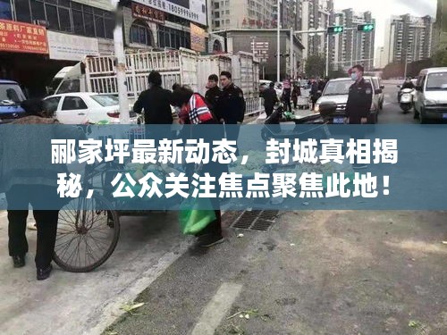 郦家坪最新动态，封城真相揭秘，公众关注焦点聚焦此地！