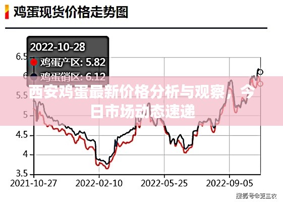 西安鸡蛋最新价格分析与观察，今日市场动态速递