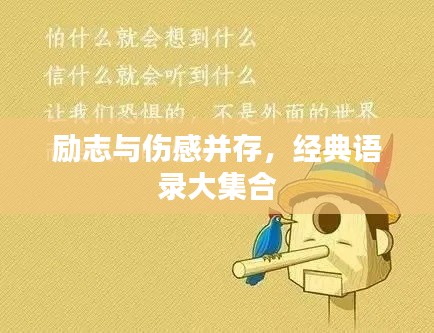 励志与伤感并存，经典语录大集合