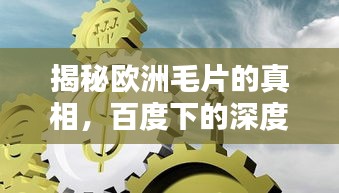 揭秘欧洲毛片的真相，百度下的深度探讨