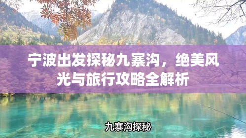 手不释卷