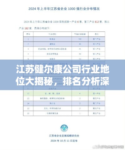 江苏健尔康公司行业地位大揭秘，排名分析深度解读