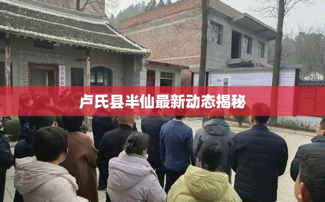 腾龙换鸟