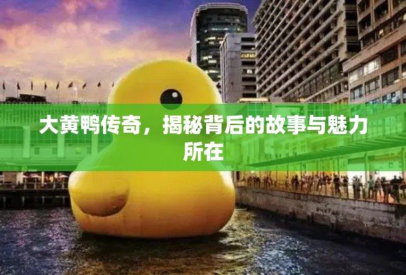 关于我们 第9页