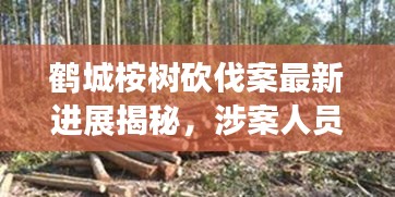 天生丽质