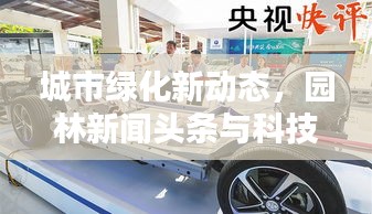 林下风气