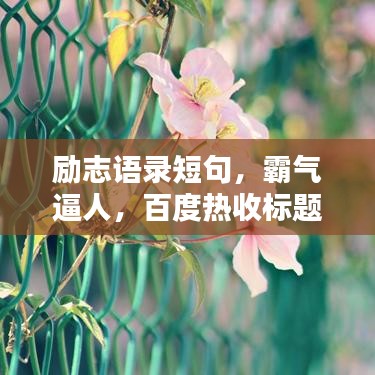 励志语录短句，霸气逼人，百度热收标题