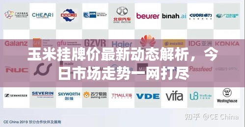 玉米挂牌价最新动态解析，今日市场走势一网打尽