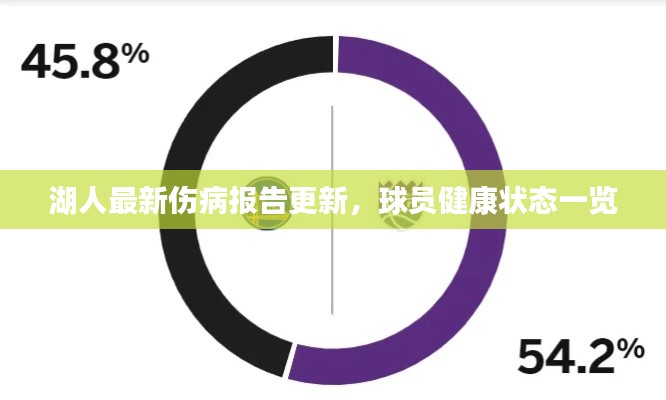 湖人最新伤病报告更新，球员健康状态一览