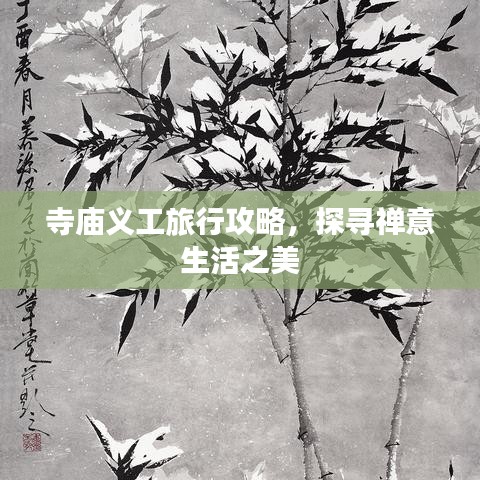 寺庙义工旅行攻略，探寻禅意生活之美