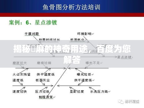 揭秘苧麻的神奇用途，百度为您解答